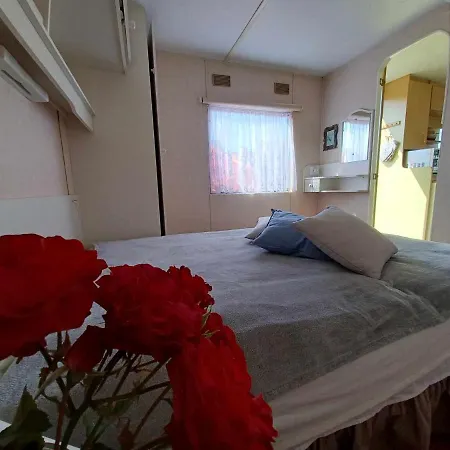 Holenderski, Ogrod, Blisko Plazy, Na Luzie *