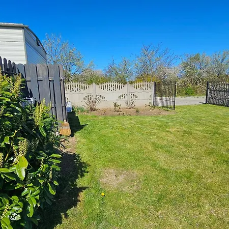 Holenderski, Ogrod, Blisko Plazy, Na Luzie *