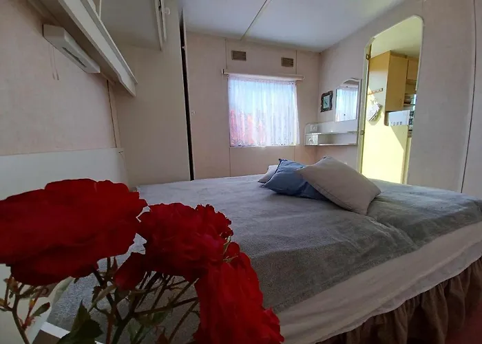 Holenderski, Ogrod, Blisko Plazy, Na Luzie *