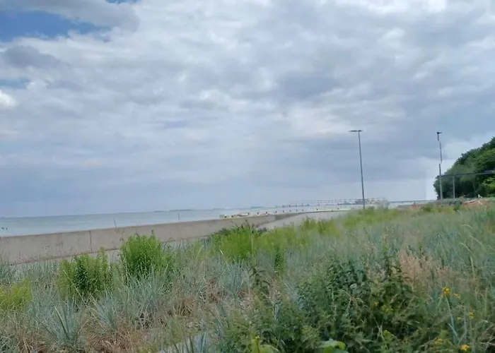 Holenderski, Ogrod, Blisko Plazy, Na Luzie