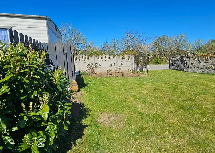 Holenderski, Ogrod, Blisko Plazy, Na Luzie *